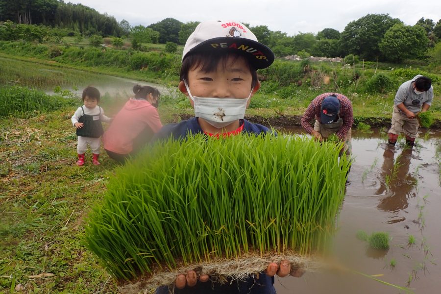 【那須高原自然学校】今年もやります、米作りデイキャンプ！！